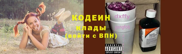 шишки Наволоки