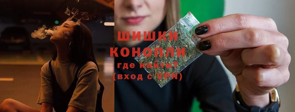 шишки Наволоки