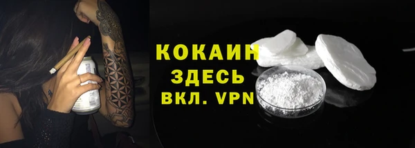 ПСИЛОЦИБИНОВЫЕ ГРИБЫ Михайловка