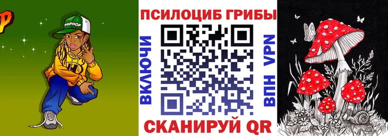наркошоп  Владивосток  гидра зеркало  Псилоцибиновые грибы Magic Shrooms 