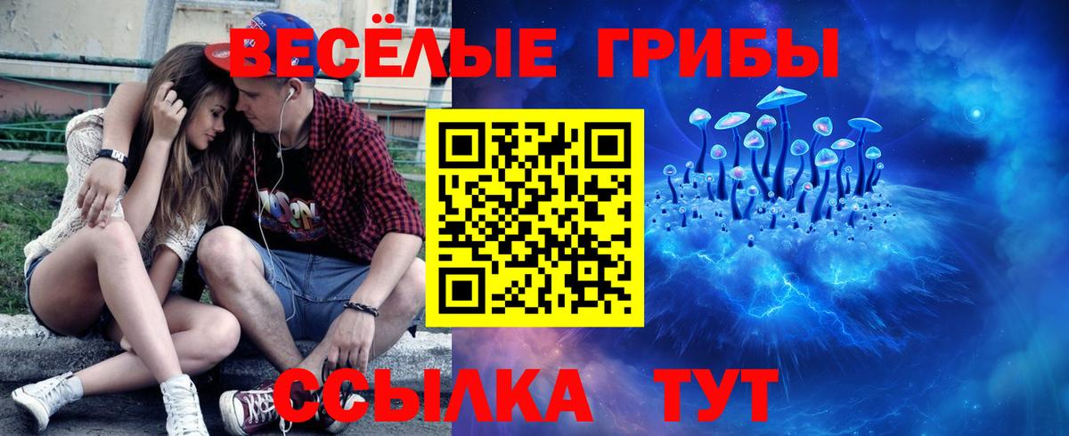 Владивосток  Псилоцибиновые грибы Psilocybine cubensis  Вход с VPN 